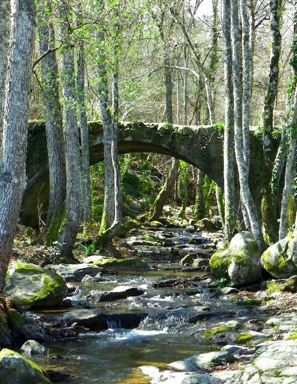 Casa Rural Amparo Mogarraz Pokoj fotografie
