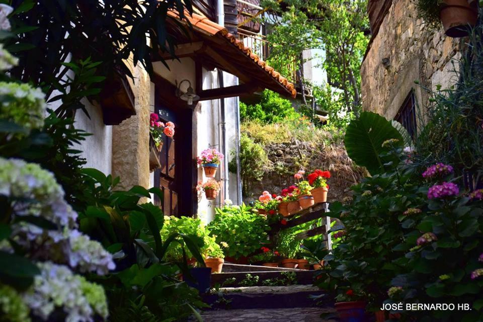 Casa Rural Amparo Mogarraz Exteriér fotografie